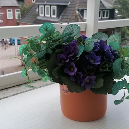 Apartment Hanseatenhaus Westerland